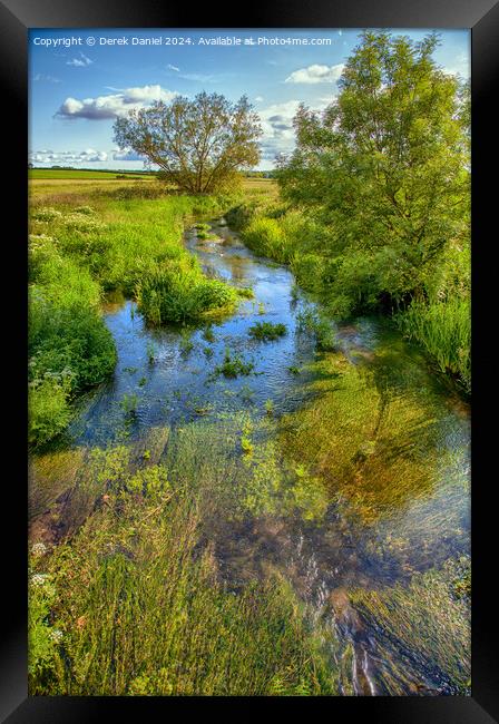 A stream in Dorset Framed Print by Derek Daniel