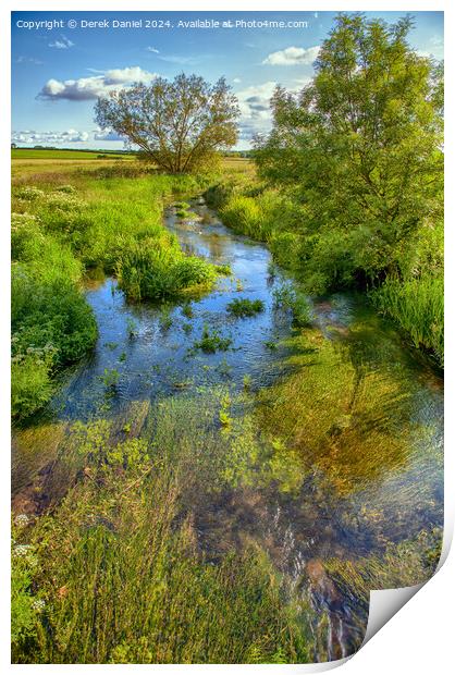 A stream in Dorset Print by Derek Daniel