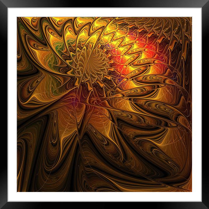 Aflame Framed Mounted Print by Amanda Moore