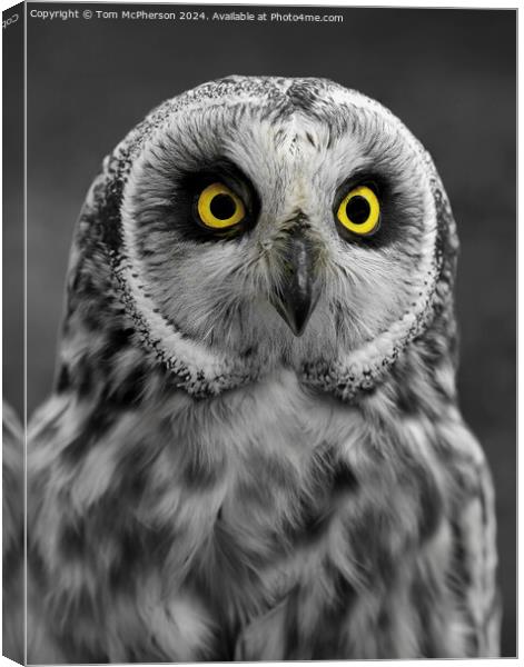 The Eyes Have It! Canvas Print by Tom McPherson