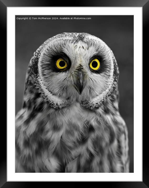 The Eyes Have It! Framed Mounted Print by Tom McPherson