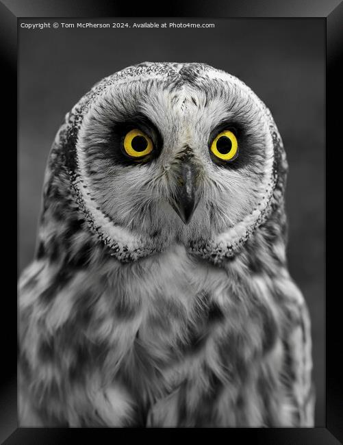 The Eyes Have It! Framed Print by Tom McPherson