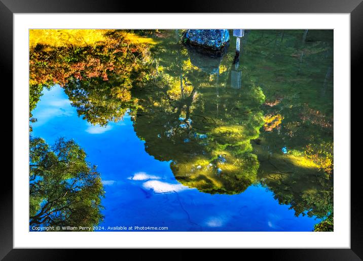 Abstract Fall Leaves Ginkakuji Silver Buddhist Temple Kyoto Japan Framed Mounted Print by William Perry