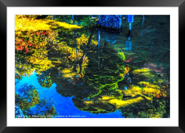 Abstract Fall Leaves Ginkakuji Kyoto Japan Framed Mounted Print by William Perry