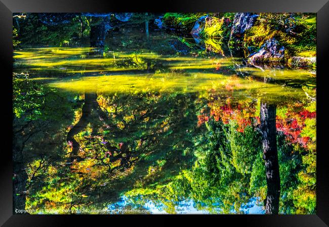 Fall Leaves Garden Ginkakuji Kyoto Japan Framed Print by William Perry