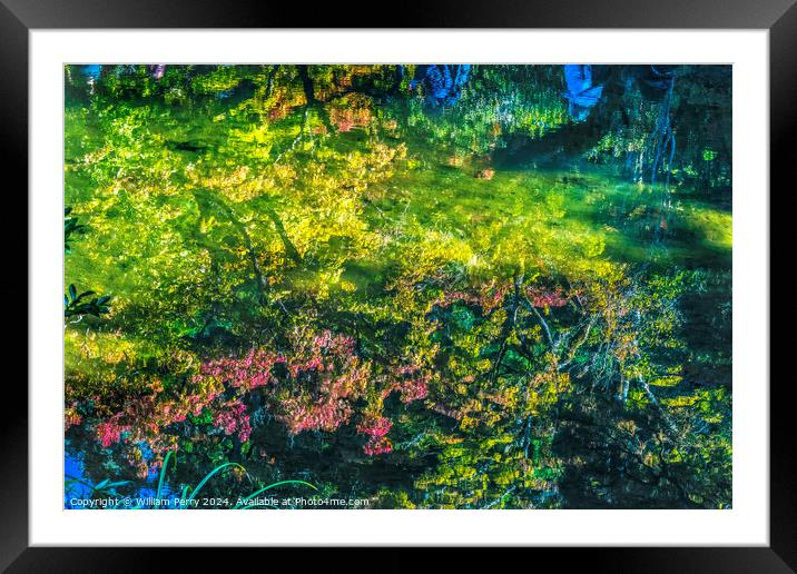 Fall Leaves Reflection Abstract Ginkakuji Kyoto Japan Framed Mounted Print by William Perry