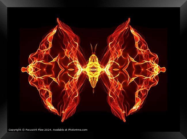 Butterfly Series: Fiery butterfly Framed Print by FocusArt Flow