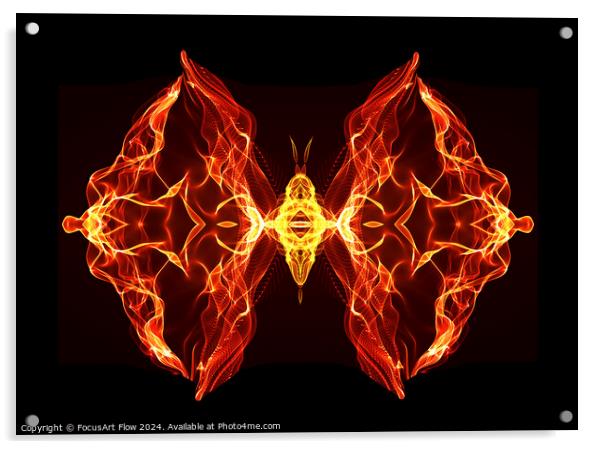 Butterfly Series: Fiery butterfly Acrylic by FocusArt Flow