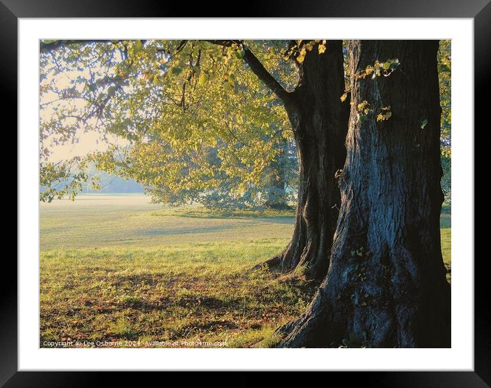 Autumn Evening in the Park Framed Mounted Print by Lee Osborne