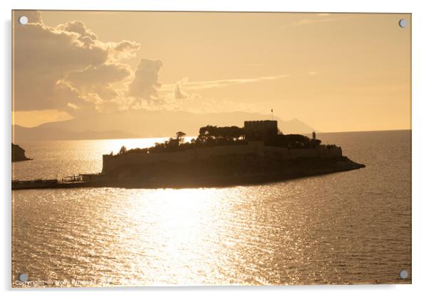 Pigoen island at sunset  Acrylic by Holly Burgess