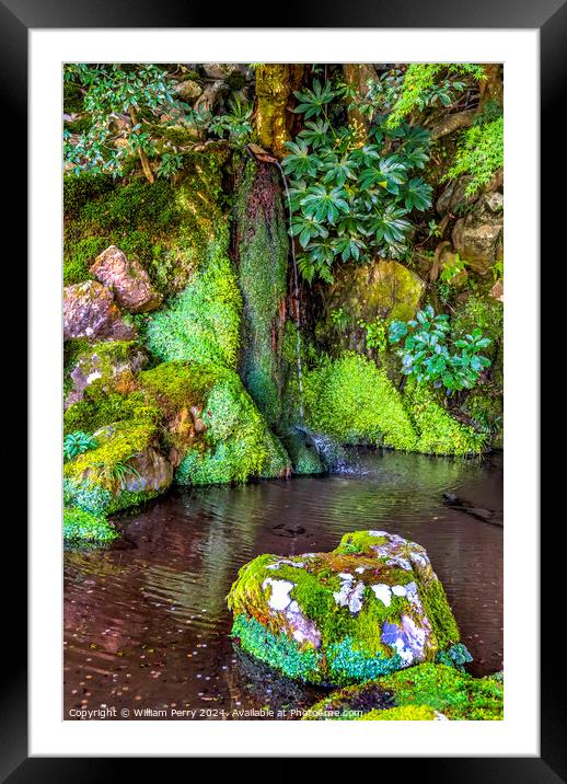 Waterfall Garden Ginkakuji Silver Pavilion Buddhist Temple Kyoto Framed Mounted Print by William Perry