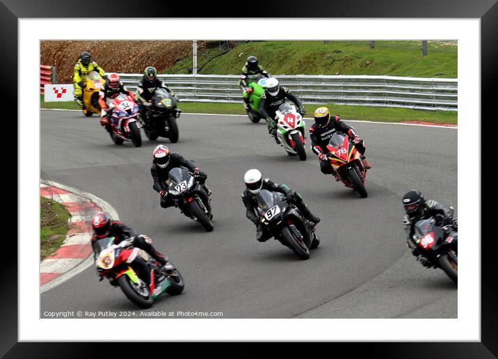 MRO Powerbikes & C1000 & MRO Retro 1000s Framed Mounted Print by Ray Putley