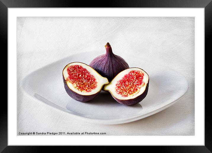 Figs Framed Mounted Print by Sandra Pledger