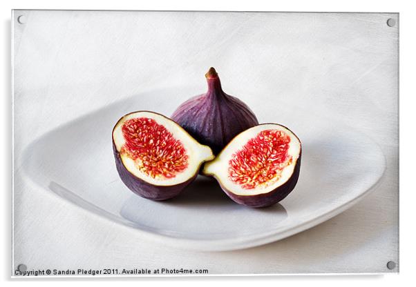 Figs Acrylic by Sandra Pledger