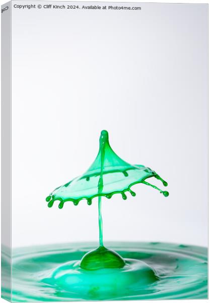 Water drop collision Canvas Print by Cliff Kinch