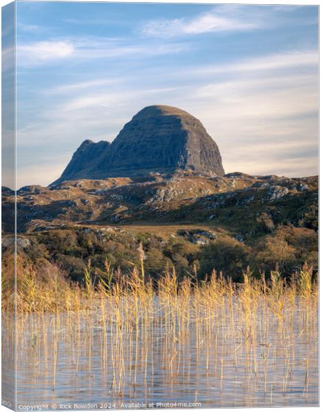 Suilven Reeds Canvas Print by Rick Bowden