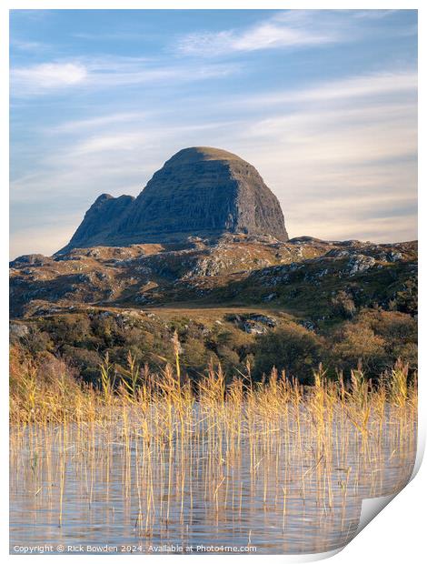 Suilven Reeds Print by Rick Bowden