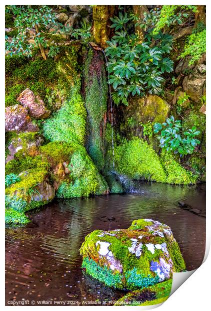 Waterfall Garden Ginkakuji Silver Temple Kyoto Japan Print by William Perry