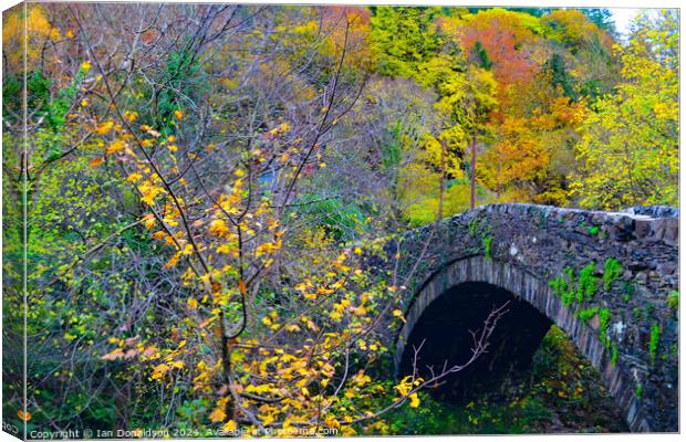 Autumn Bridge Canvas Print by Ian Donaldson