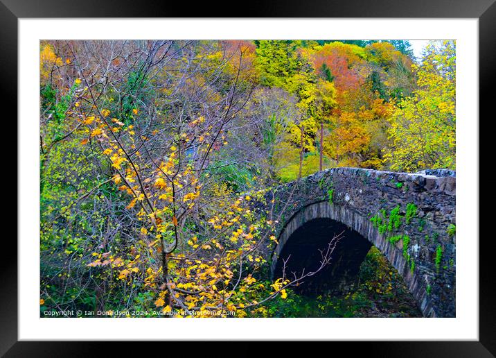Autumn Bridge Framed Mounted Print by Ian Donaldson
