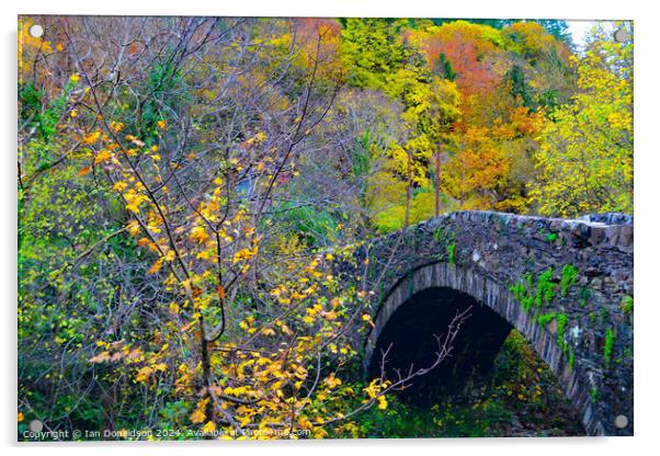 Autumn Bridge Acrylic by Ian Donaldson
