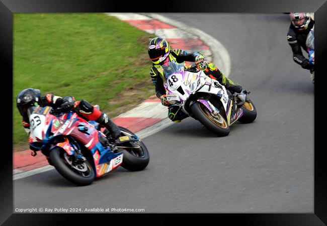 MRO Powerbikes & C1000 & MRO Retro 1000s Framed Print by Ray Putley