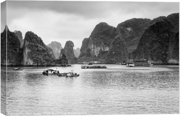 Remote Elegance in Halong Bay Canvas Print by Kasia Design