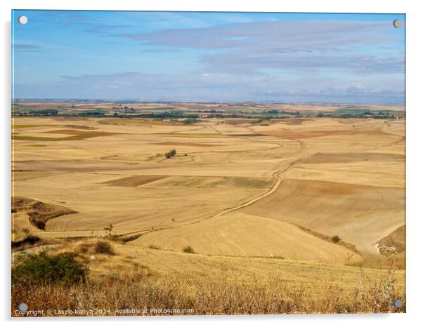 View backward from Alto Mostelares - Castrojeriz Acrylic by Laszlo Konya