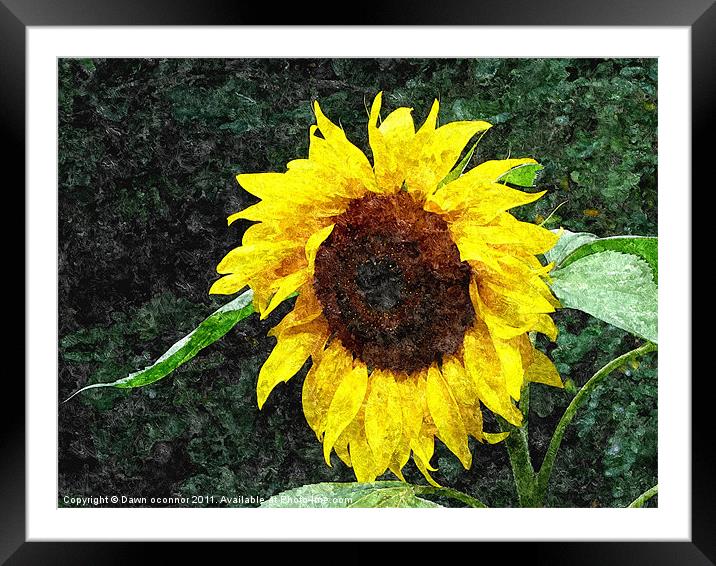 Sunflower Painting Framed Mounted Print by Dawn O'Connor