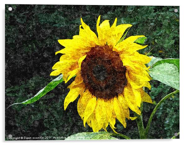 Sunflower Painting Acrylic by Dawn O'Connor