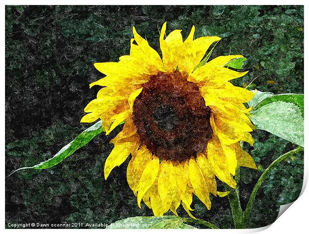 Sunflower Painting Print by Dawn O'Connor