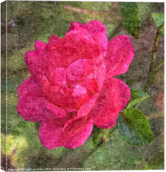 Red Rose Painting Canvas Print by Dawn O'Connor