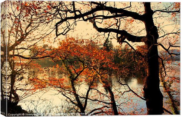 The colour of autumn Canvas Print by Linsey Williams