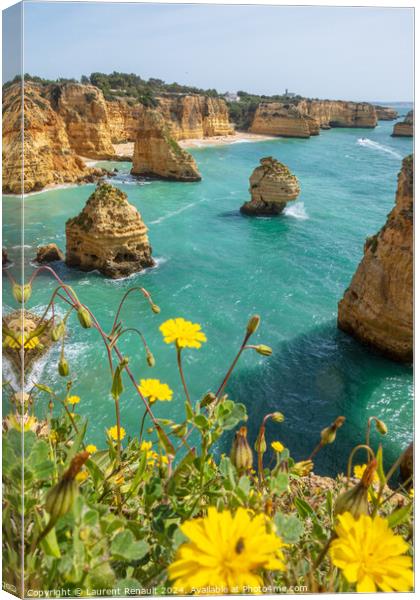 Vertical view over cliffs and ocean near Lagoa, Algarve, Portuga Canvas Print by Laurent Renault