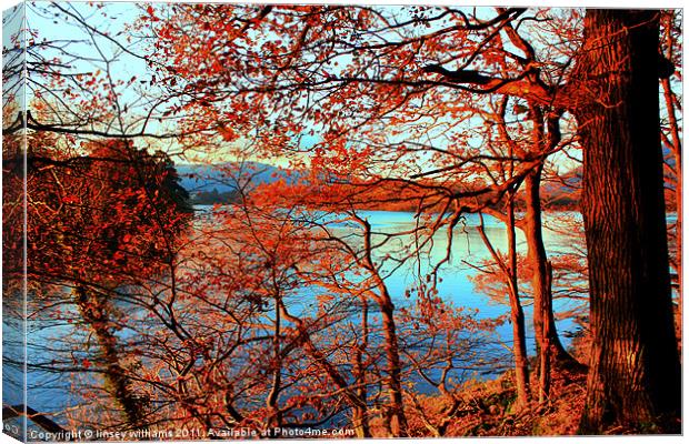 Autumn sunset Canvas Print by Linsey Williams
