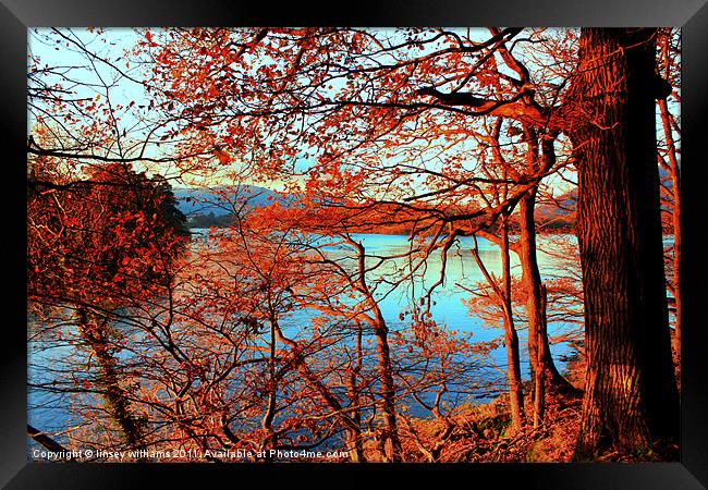 Autumn sunset Framed Print by Linsey Williams