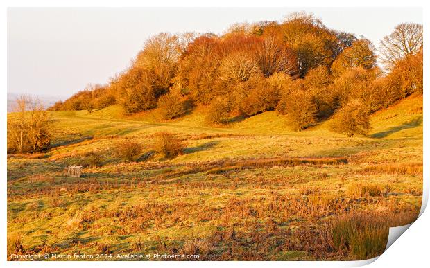 Dovers Hill Golden hour Print by Martin fenton