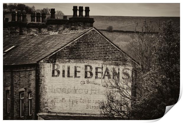 Bile Beans - Mono Print by Glen Allen
