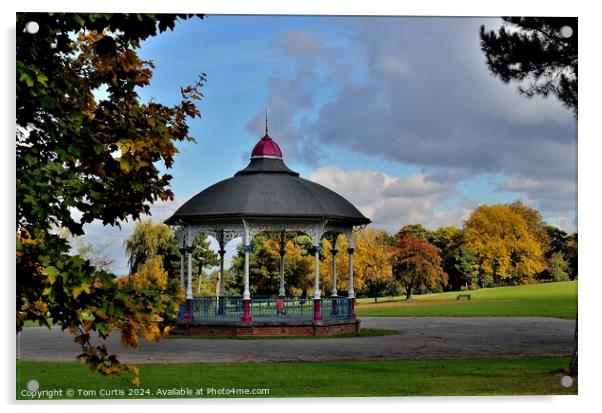 Bandstand Locke Park  Acrylic by Tom Curtis