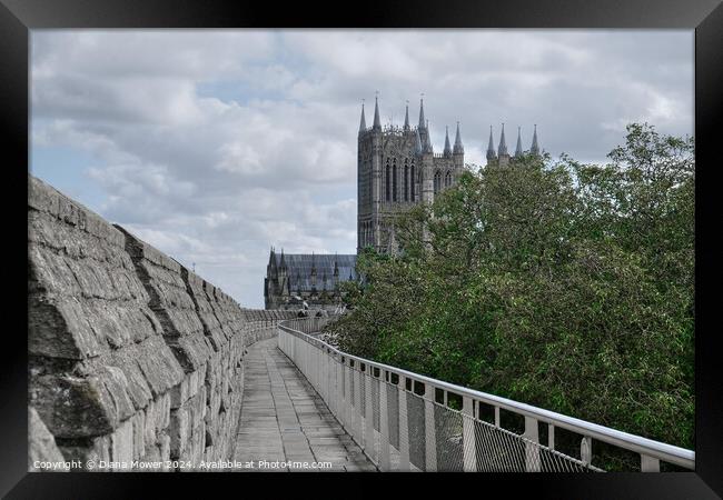 Lincoln Cathedral From the Castle Walls Framed Print by Diana Mower