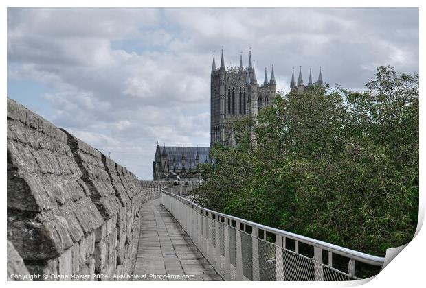 Lincoln Cathedral From the Castle Walls Print by Diana Mower