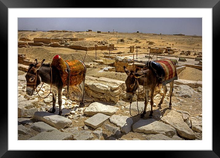 Desert Donkeys Framed Mounted Print by Tom Gomez