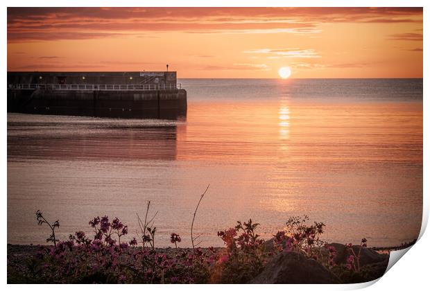 Golden Sunrise at Botany Bay Print by DAVID FRANCIS