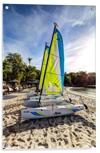 St Lucia Beach Catamarans Acrylic by David Pyatt