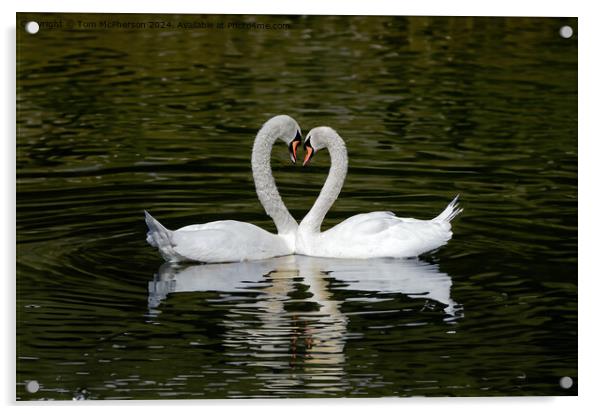 Swan Heart Acrylic by Tom McPherson
