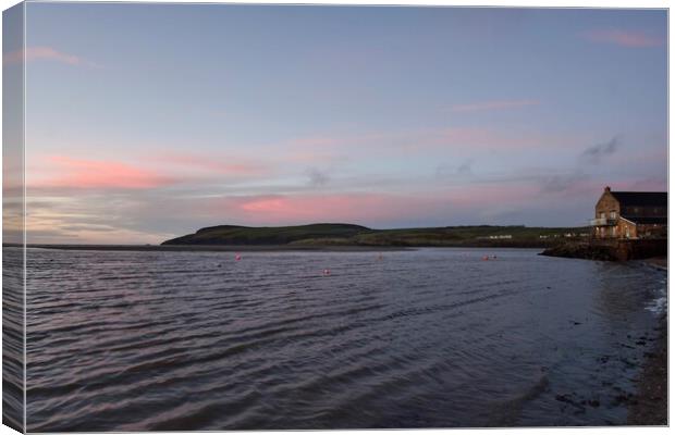 Pink sunset at the Parrog Newport Canvas Print by Julie Tattersfield