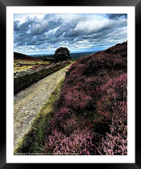 Denbigh Countryside Framed Mounted Print by David Bennett
