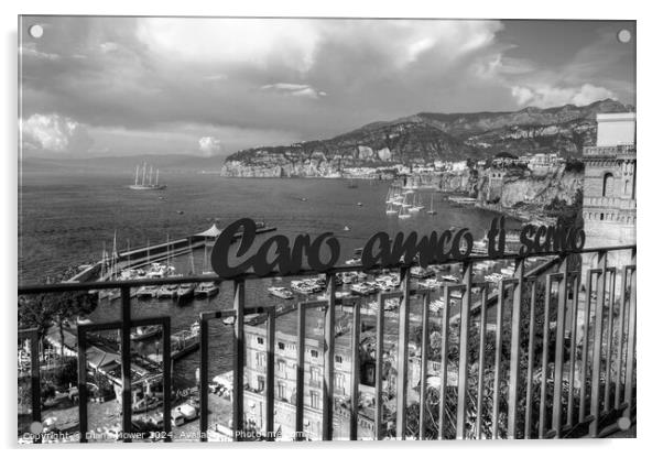  Sorrento Marina Piccola View Mono Acrylic by Diana Mower