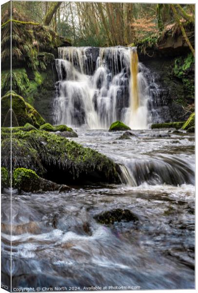 Goitstock Waterfall Yorkshire Canvas Print by Chris North