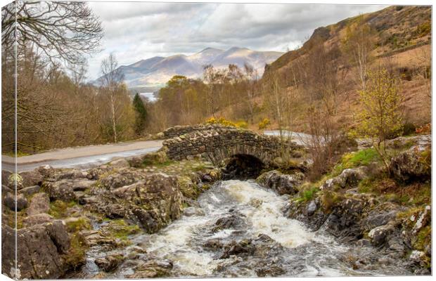Ashness Bridge in Spring Canvas Print by Roger Green